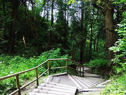 beach stairs