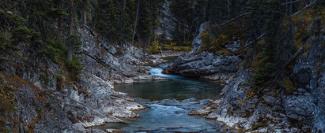 running water in the forest